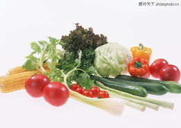 四季蔬果0091 四季蔬果图 水果食品图库