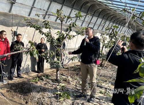 河北省农林科学院 盐碱地上 长 出果蔬工厂