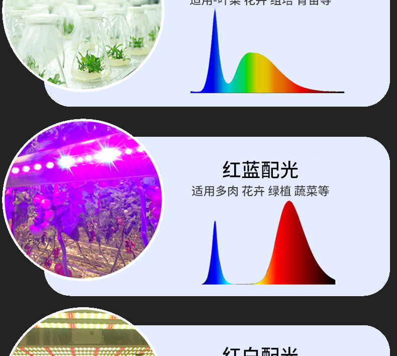 LEDT8植物组培育苗补光灯无土栽培果蔬植物工厂IP65防水植物灯管